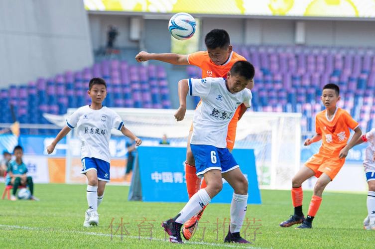 中国足协主席总结2024年足球工作 中国足协主席总结2024年足球工作